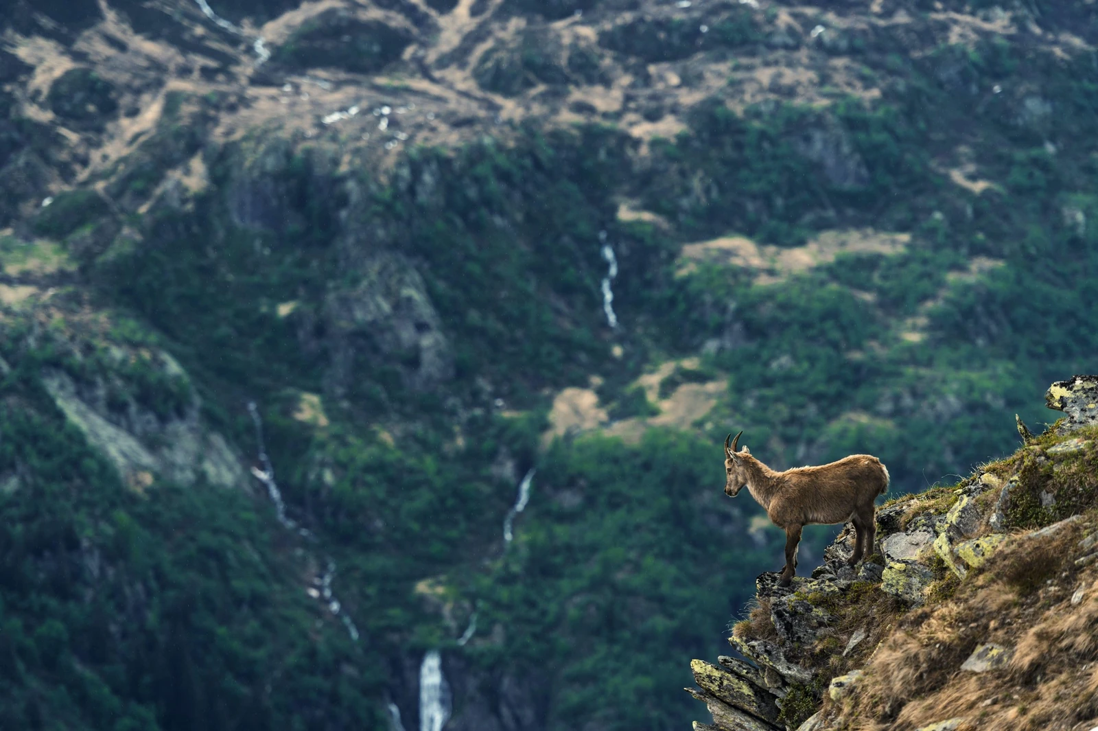 Photographie de voyage par Miloud Bouhidel