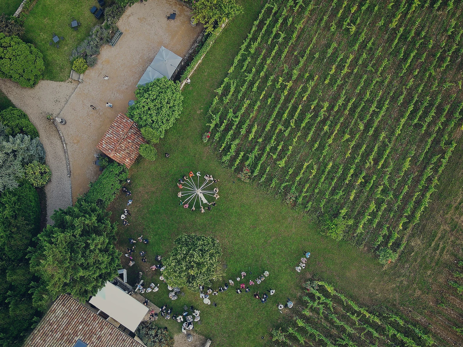 Film de mariage, cinématographie