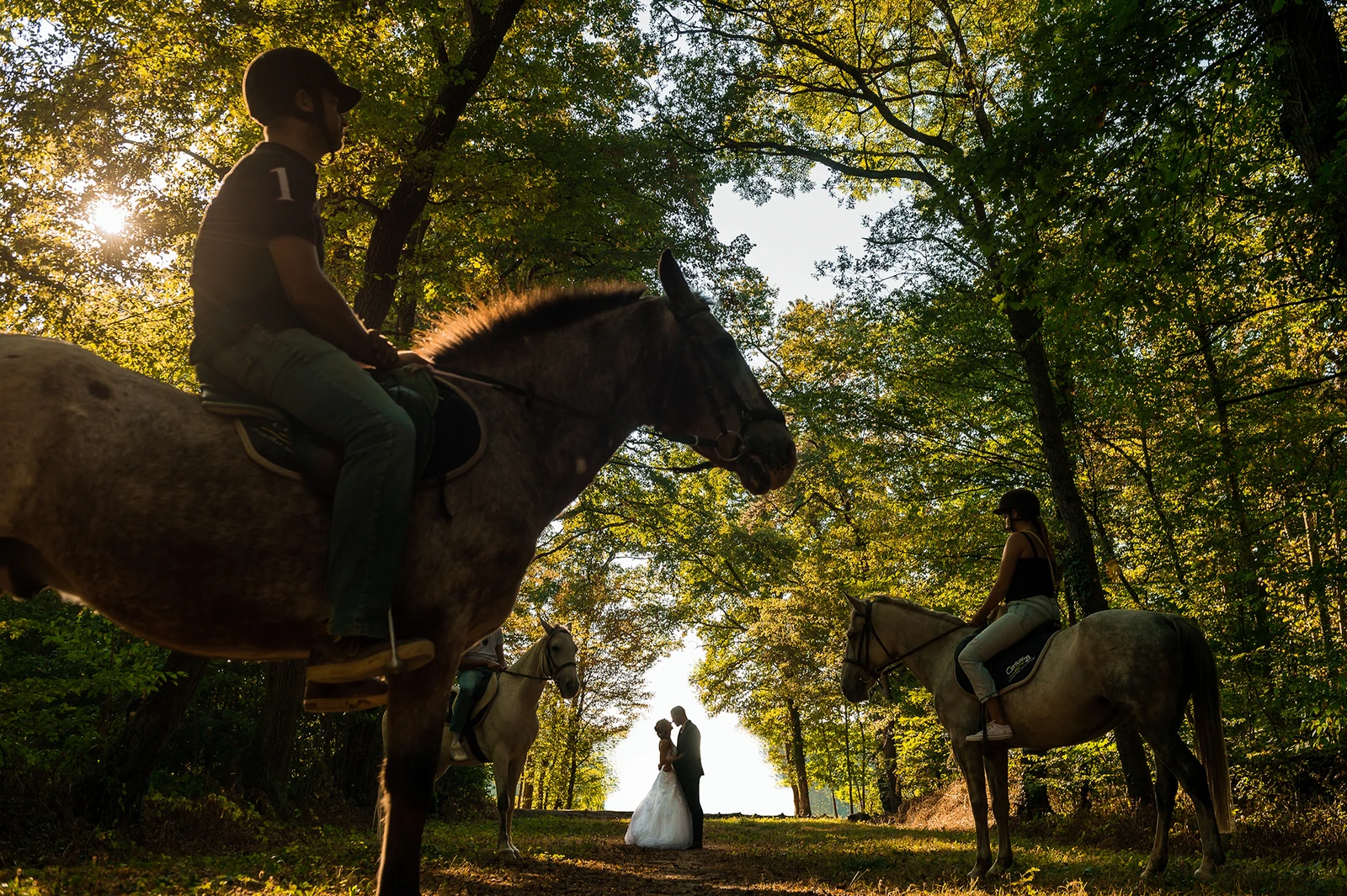 Mariage champêtre en France